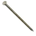 Acorn Mfg Common Nail, 4 in L, 20D CK20L